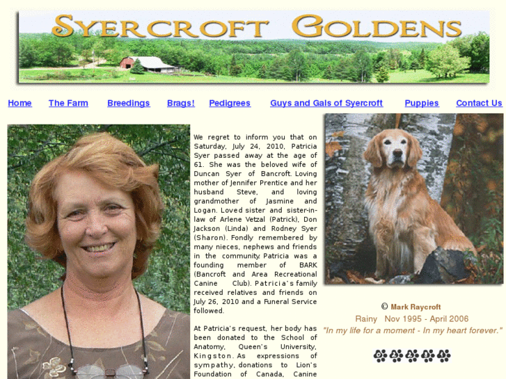 www.syercroftgoldens.com