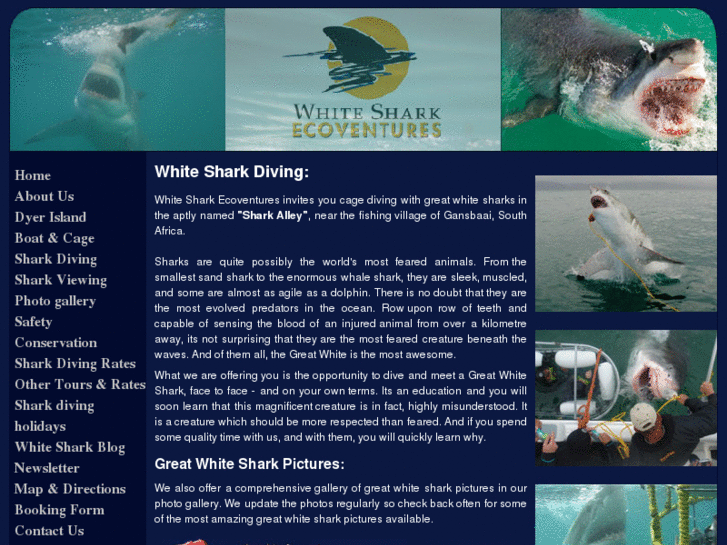 www.white-shark-diving.com