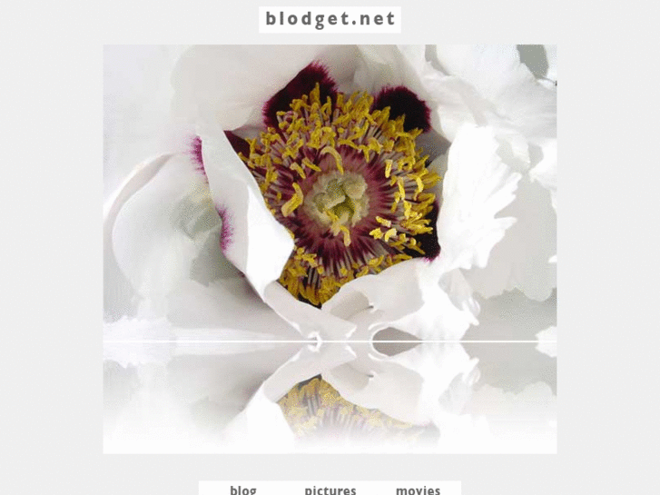 www.blodget.net