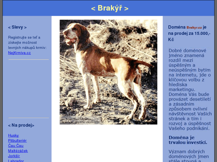 www.brakyr.cz