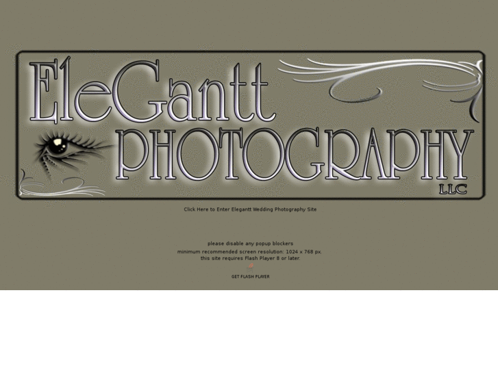 www.eleganttweddingphotography.com