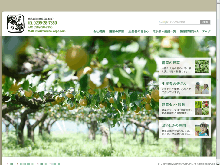 www.haruna-vege.com