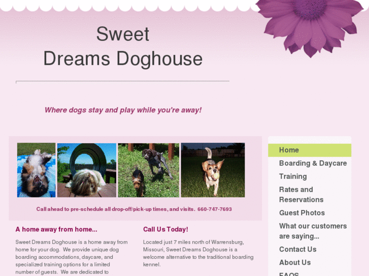 www.sweetdreamsdoghouse.com