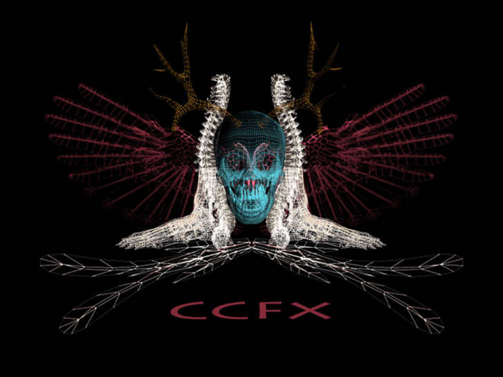 www.ccfx.org