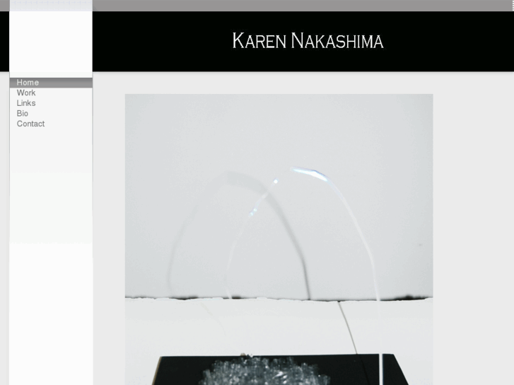 www.karennakashima.com