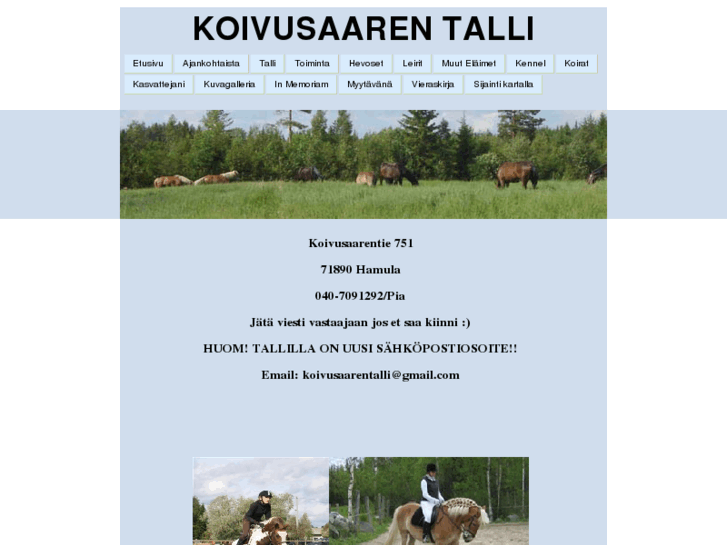 www.koivusaarentalli.com