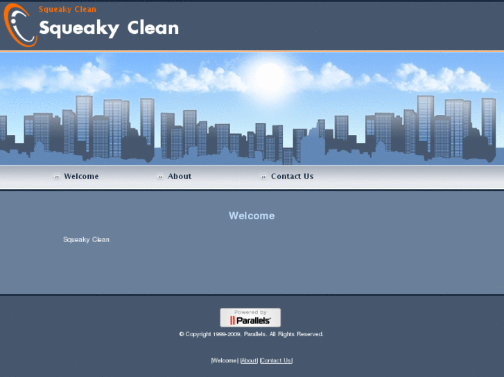 www.squeakycleanwindowsinc.com