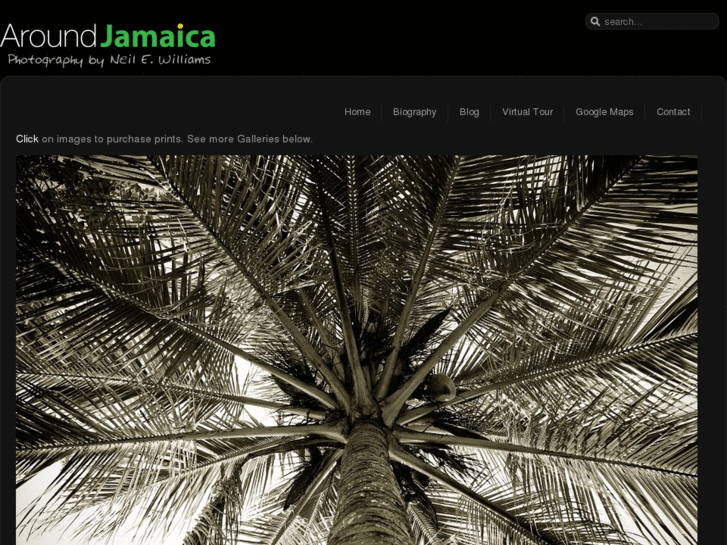 www.aroundjamaica.com