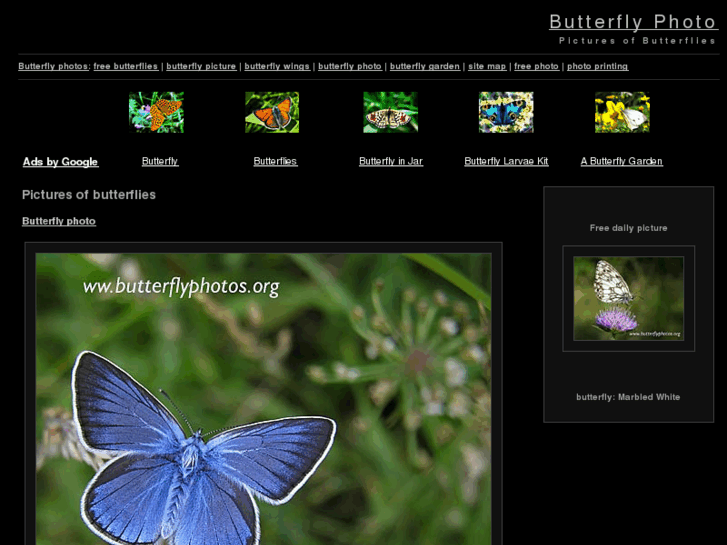 www.butterflyphotos.org