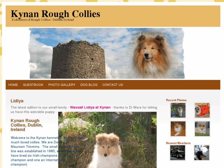 www.kynan-collies.com