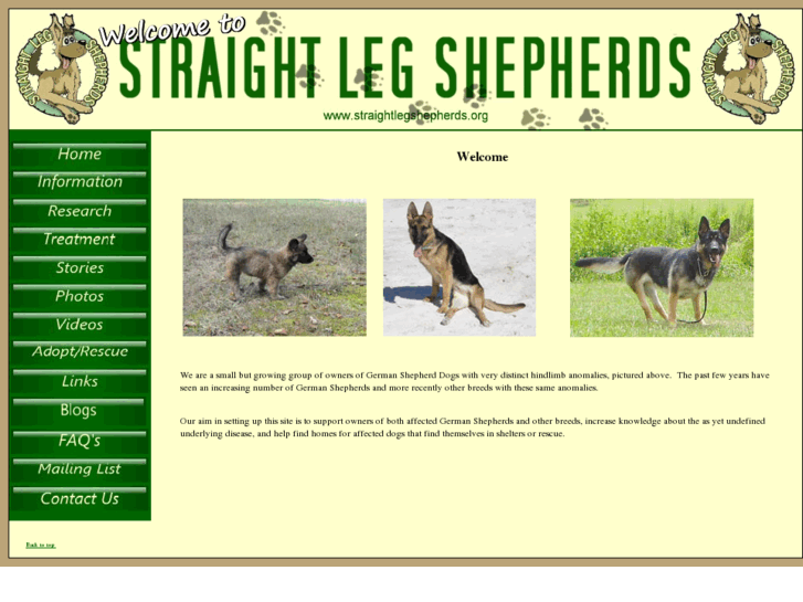 www.straightlegshepherds.org