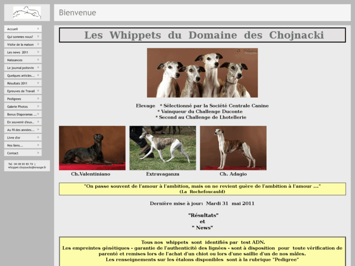 www.whippets-chojnacki.com