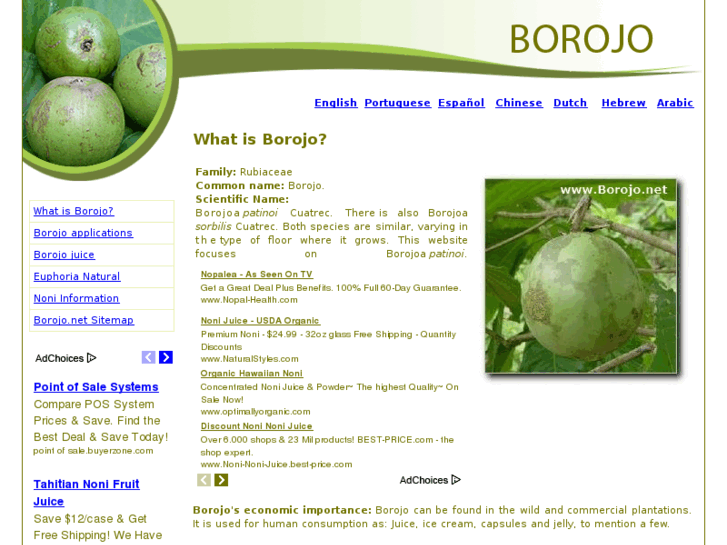 www.borojo.net