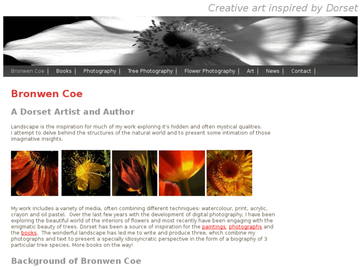 www.bronwencoe.com