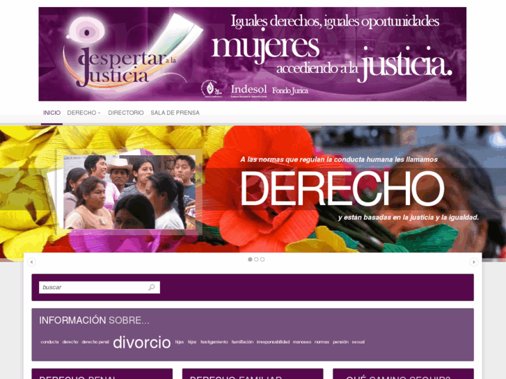 www.despertaralajusticia.org