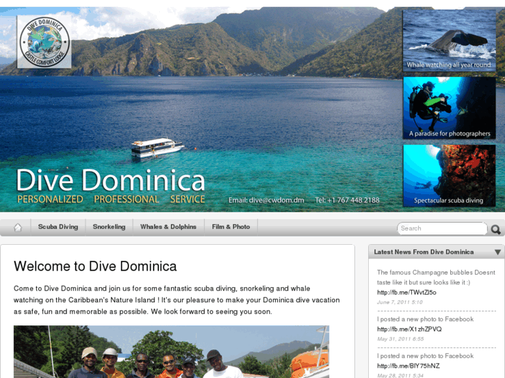 www.divedominica.com