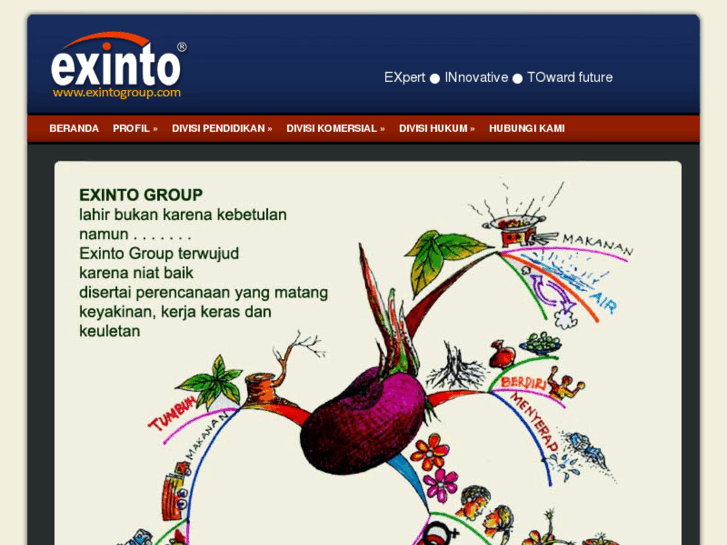 www.exintogroup.com