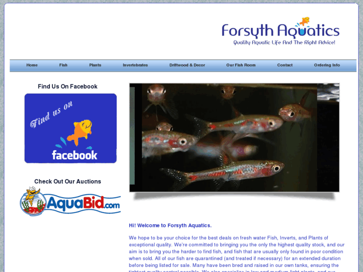 www.forsythaquatics.com