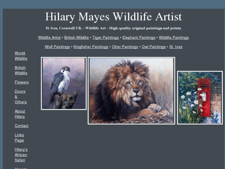 www.hilarymayes.com