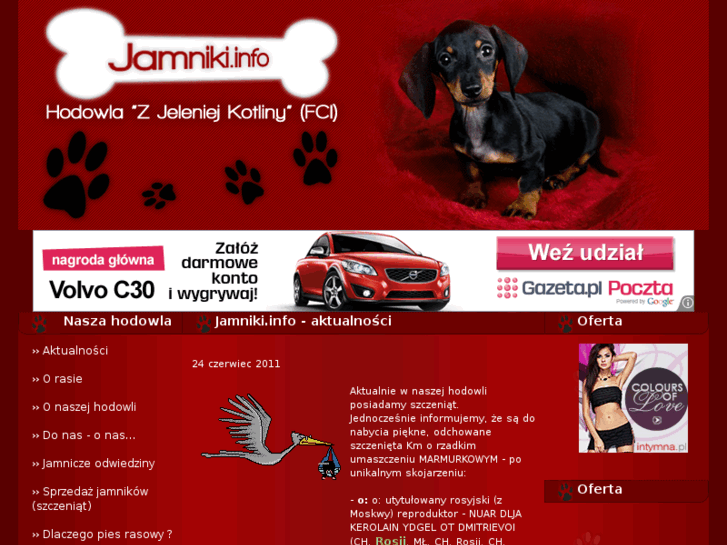 www.jamniki.info