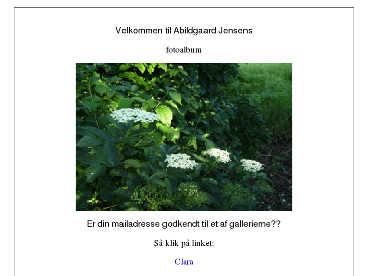 www.abildgaard-jensen.com