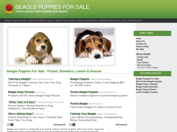 www.beagle-puppies-for-sale.net