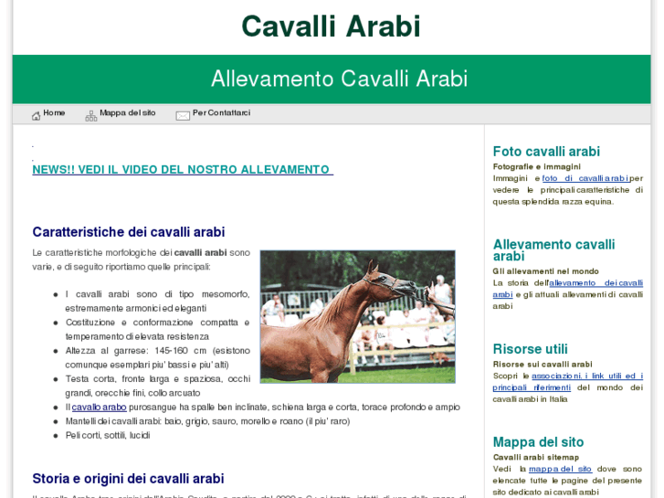 www.cavalli-arabi.com