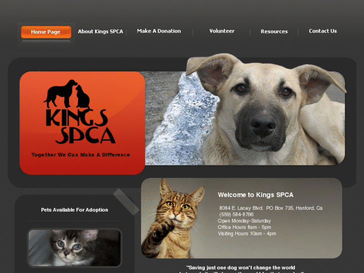 www.kingsspca.org