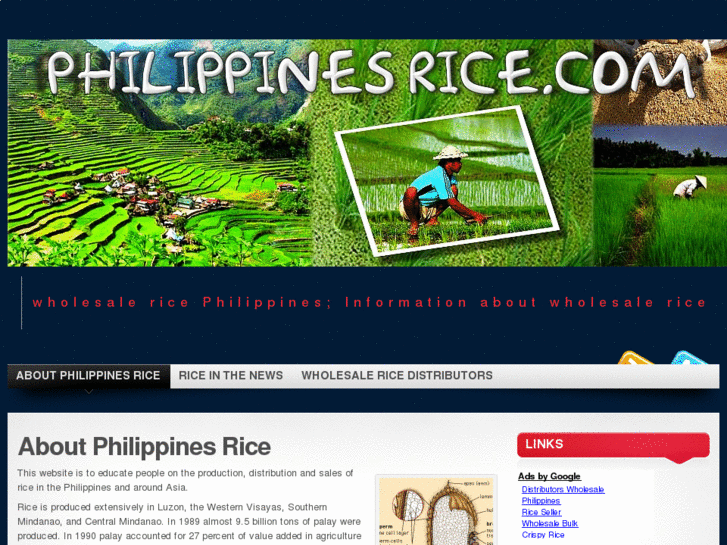 www.philippinesrice.com