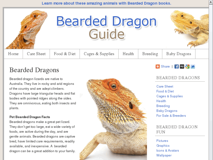 Beardeddragonguide.com: Pet Bearded Dragon Lizard Facts & Information B...