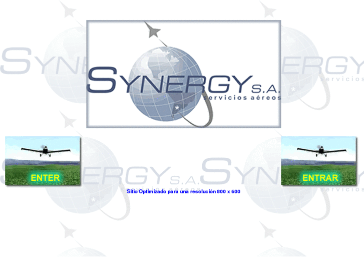 www.synergysa.com.ar