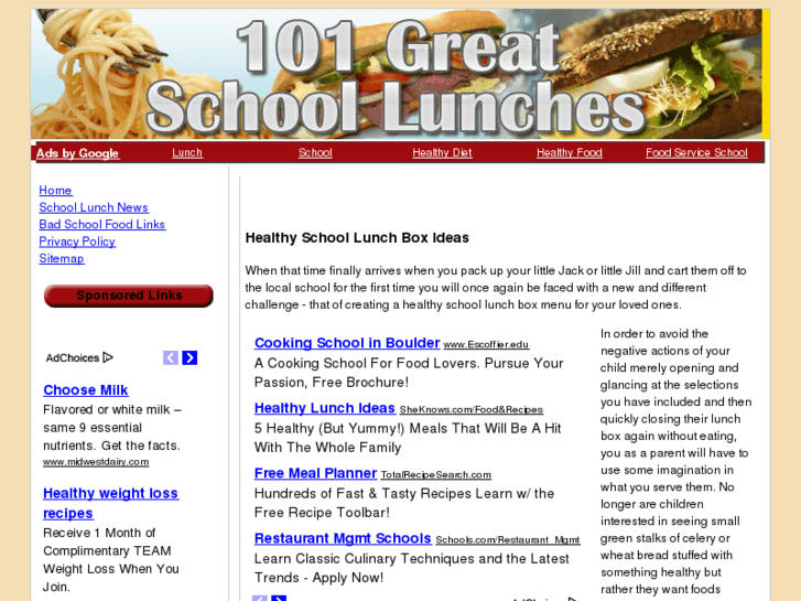 www.101schoollunches.com
