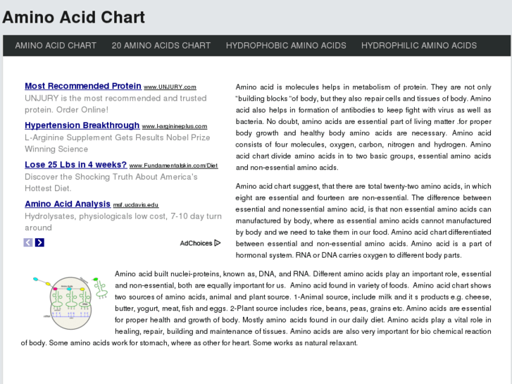 www.aminoacidchart.com