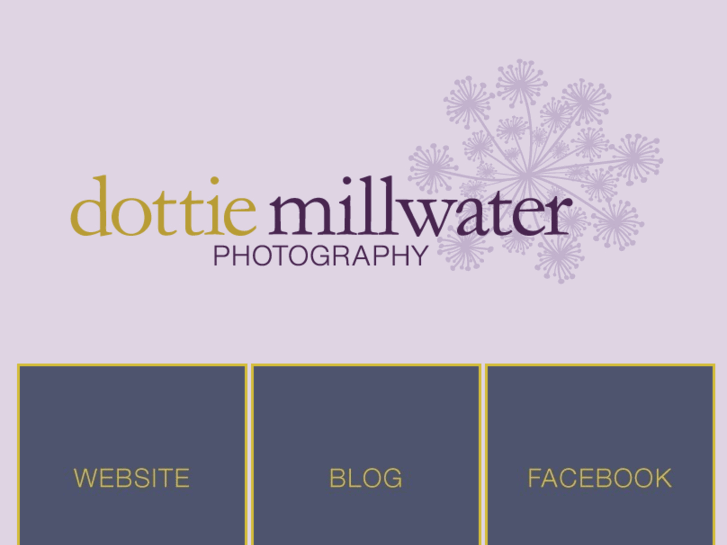 www.dottiemillwater.com