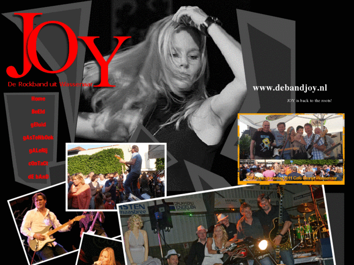 www.joylivemusic.com