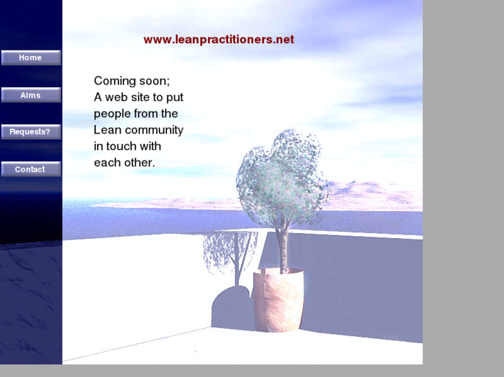 www.leanpractitioners.net