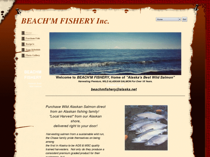 www.alaskasbestwildsalmon.com