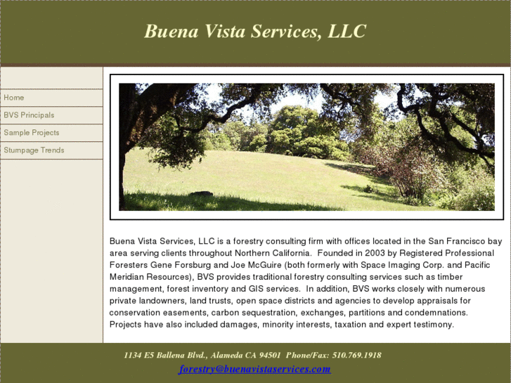 www.buenavistaservices.com