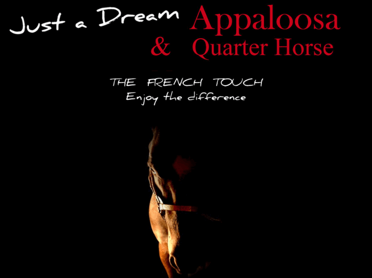 www.justadream-appaloosa.com