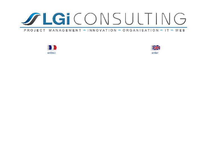 www.lgi-consulting.com