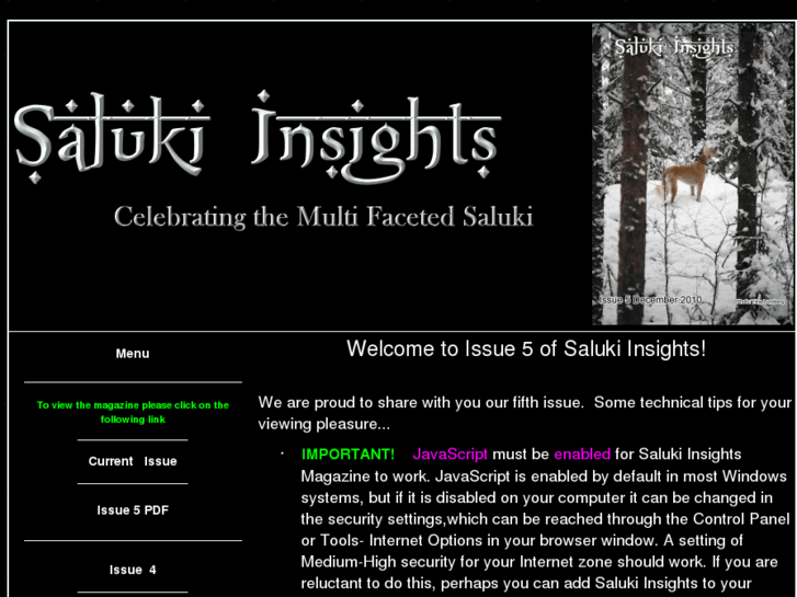 www.salukiinsights.com