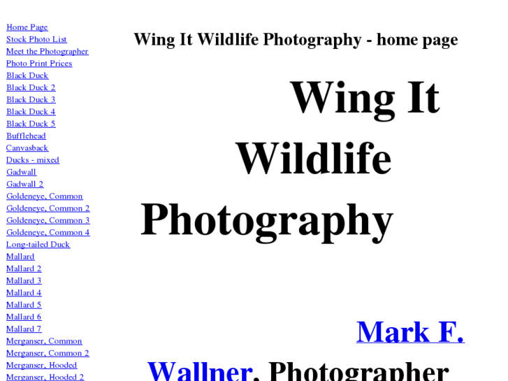 www.wingitwildlife.com