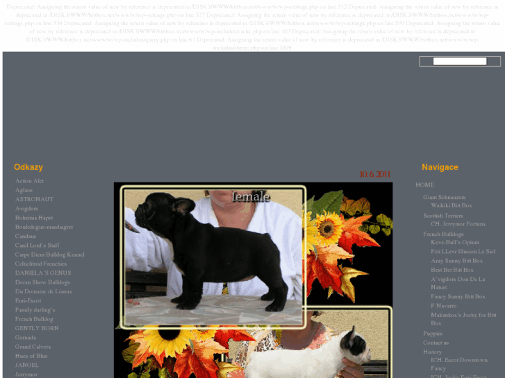 www.bittbox.net