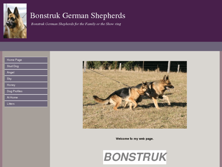 www.bonstruk.com