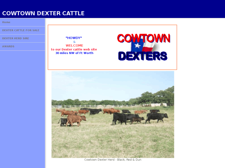 www.cowtowndexters.com