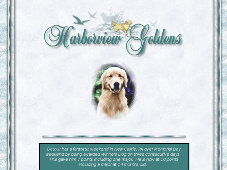 www.harborviewgoldens.com