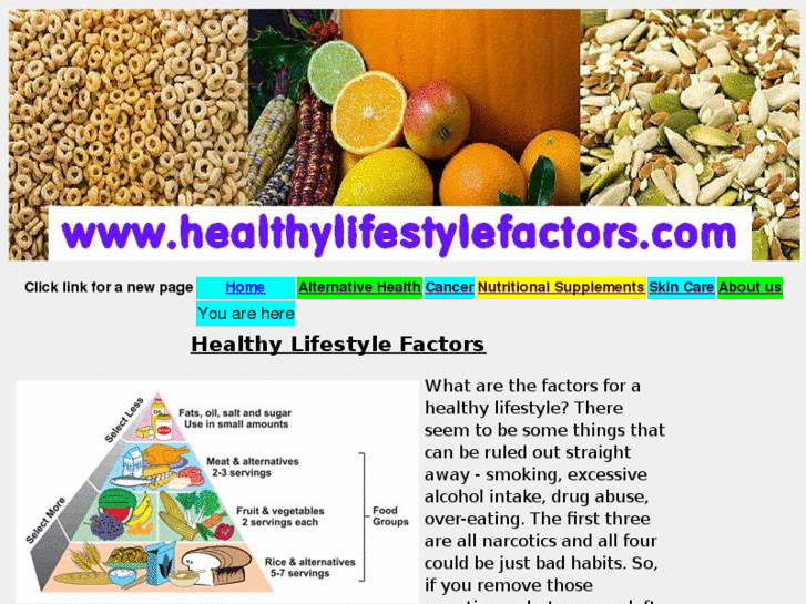 www.healthylifestylefactors.com