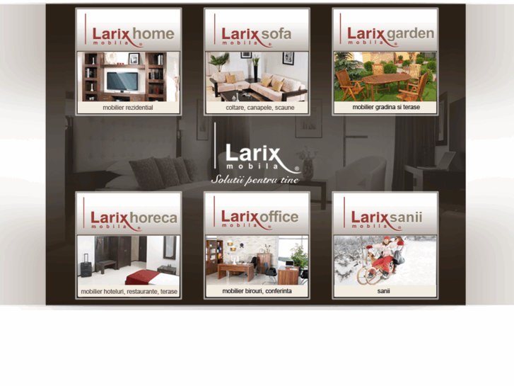 www.larix-ro.com