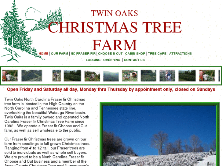 www.twinoakschristmastrees.com