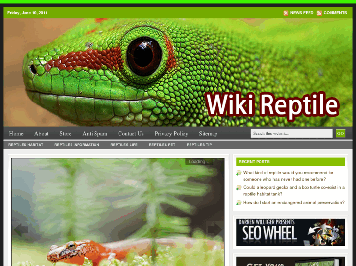 www.wikireptile.com